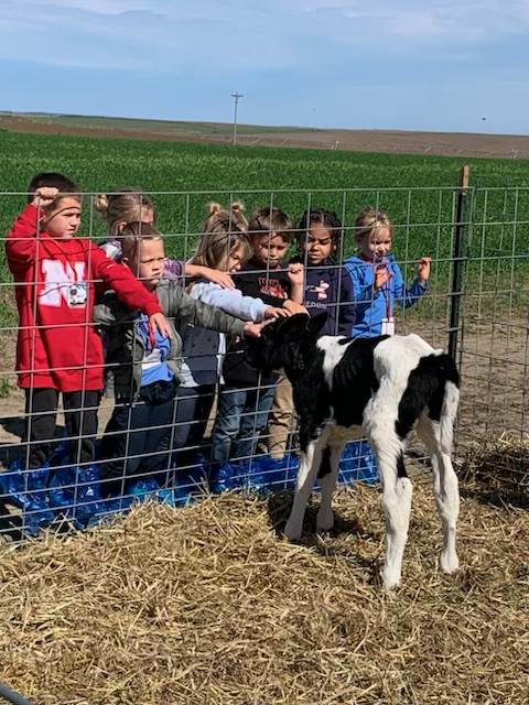 Dairy