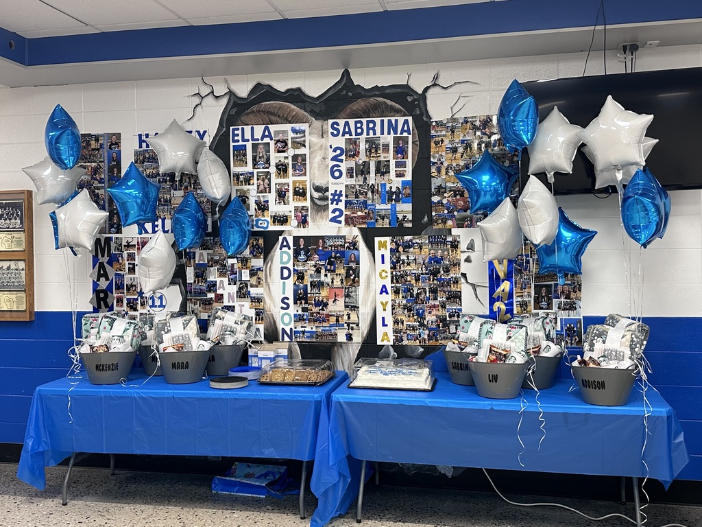 Senior Volleyball Night