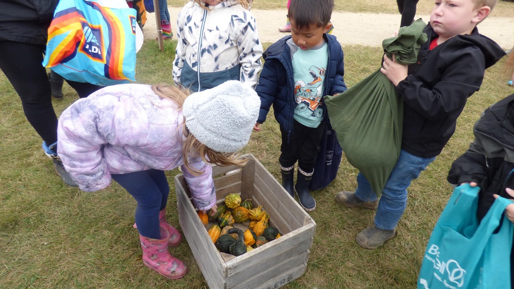 Spieker's Pumpkin Farm