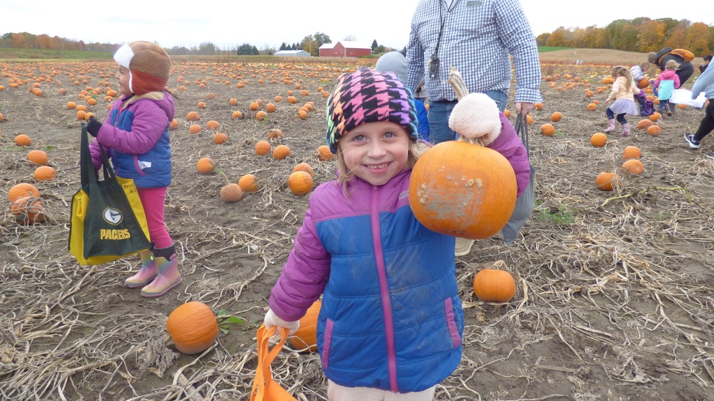 Spieker's Pumpkin Farm
