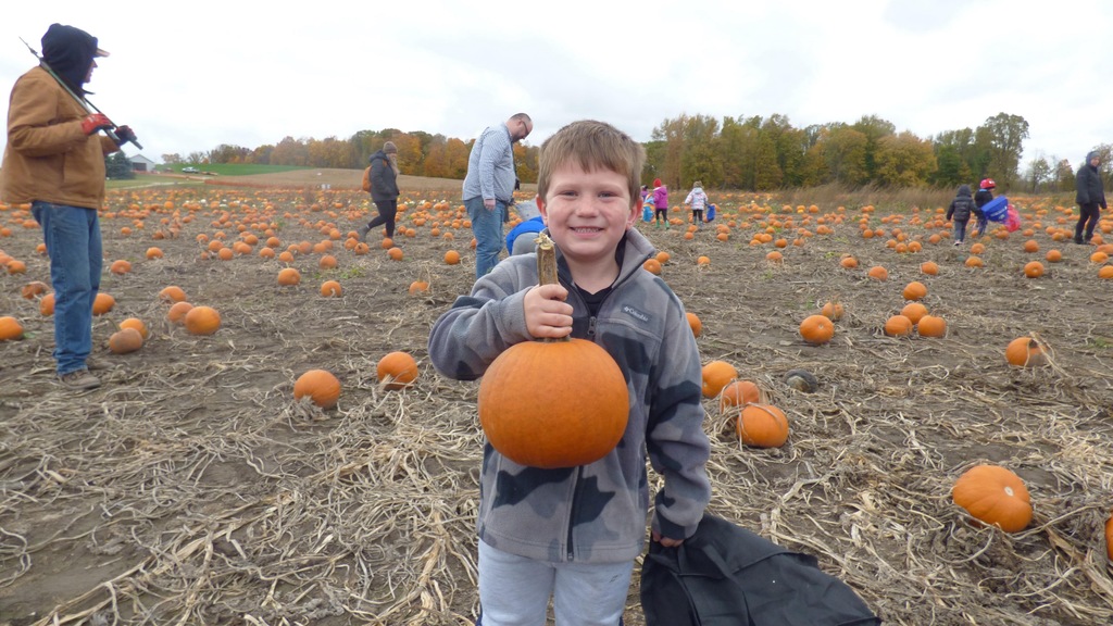 Spieker's Pumpkin Farm