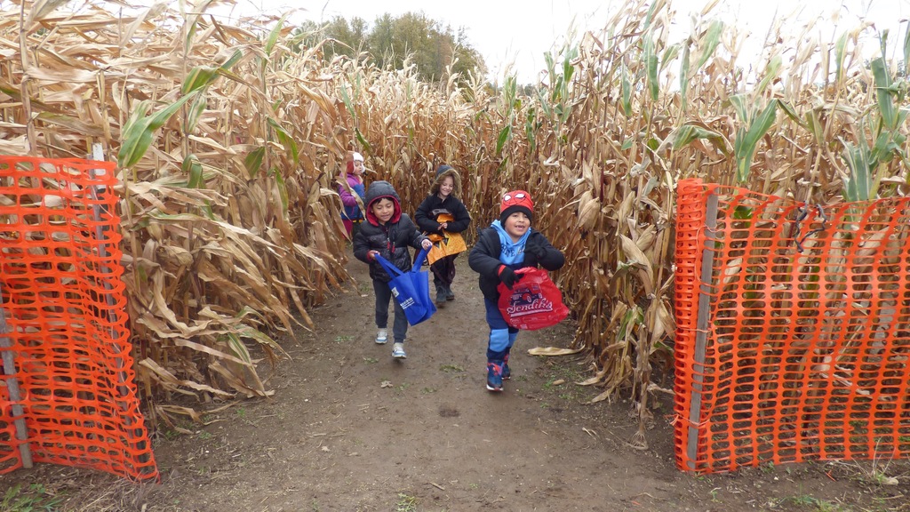 Spieker's Pumpkin Farm
