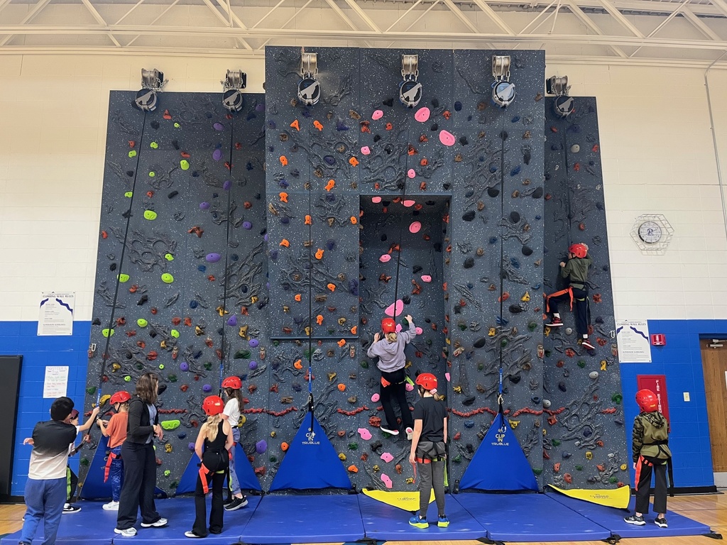 Rock Wall