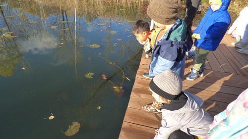 Riveredge Nature Center Field Trip