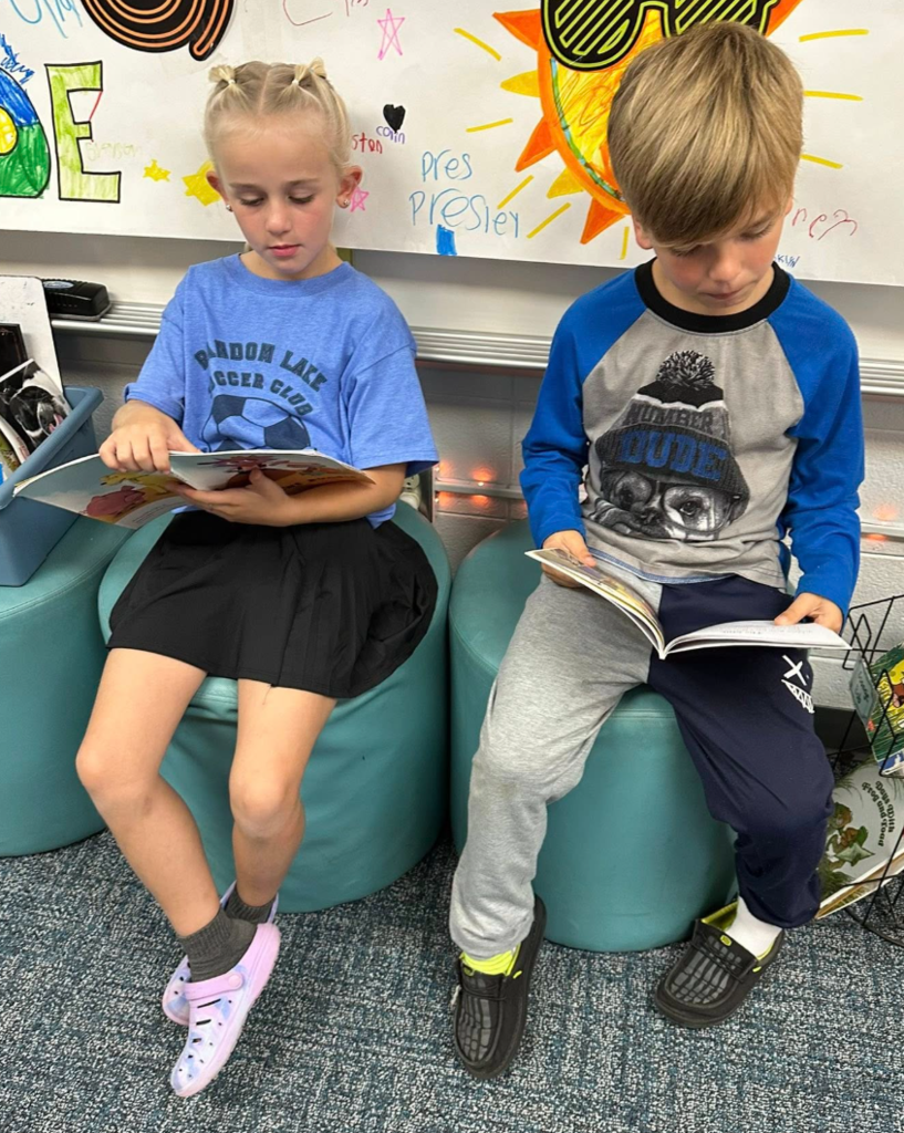 Lakeview Public Library