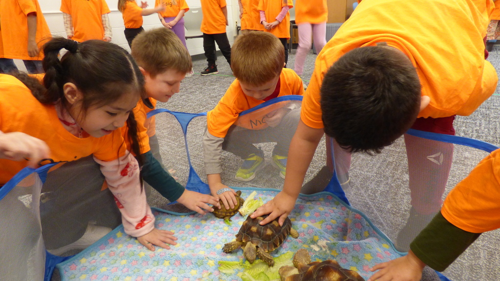 Ms. Kim's Amazing Animals visited our kindergarten classes
