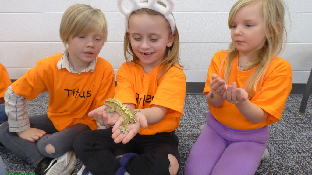 Ms. Kim's Amazing Animals visited our kindergarten classes