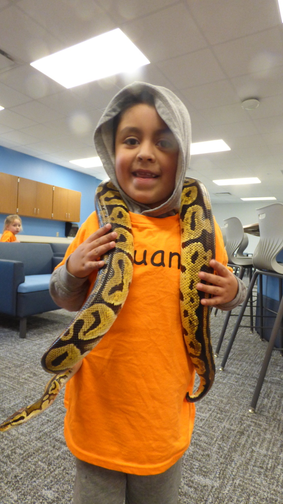 Ms. Kim's Amazing Animals visited our kindergarten classes