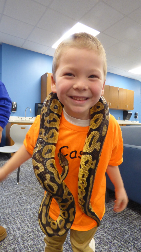 Ms. Kim's Amazing Animals visited our kindergarten classes