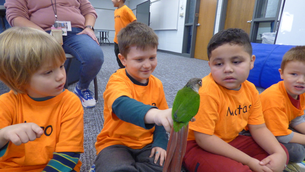 Ms. Kim's Amazing Animals visited our kindergarten classes