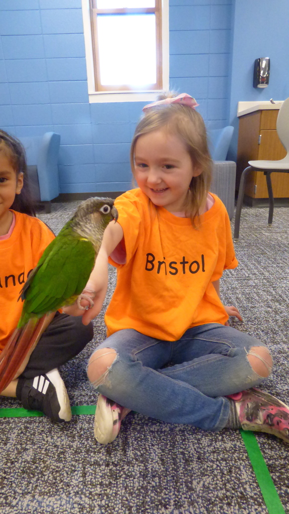 Ms. Kim's Amazing Animals visited our kindergarten classes