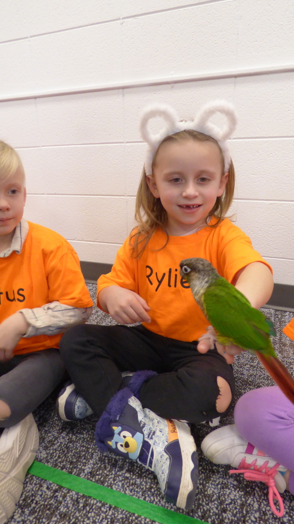 Ms. Kim's Amazing Animals visited our kindergarten classes