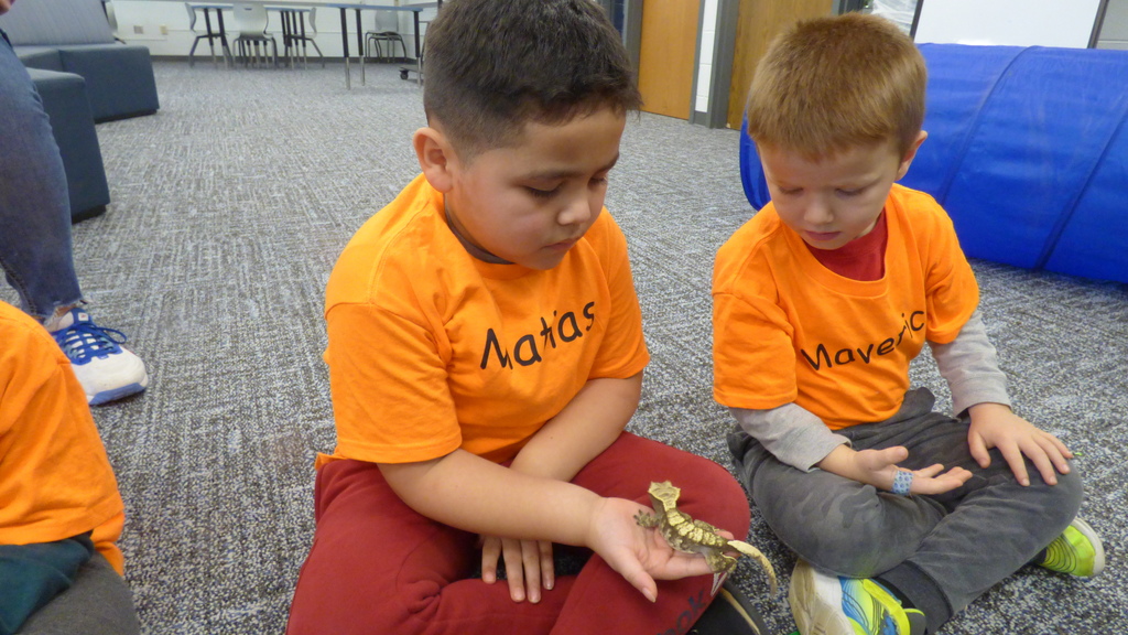 Ms. Kim's Amazing Animals visited our kindergarten classes