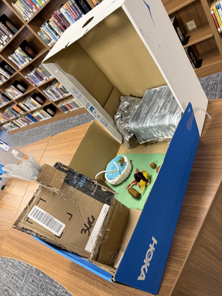 5th Grade detailed dioramas