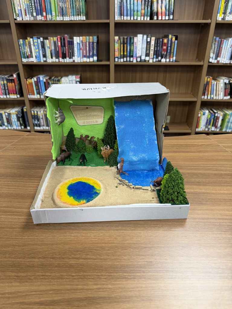 5th Grade detailed dioramas