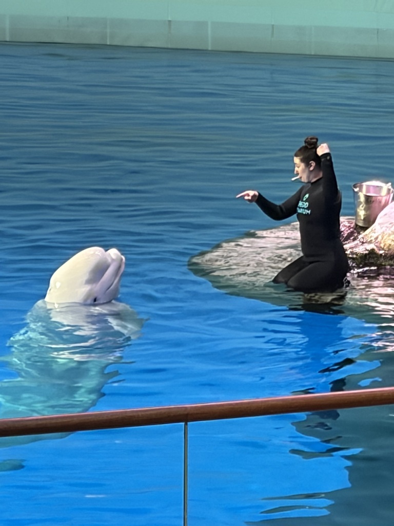 Zoology and American Wilderness Science classes recently took a trip to the Shedd Aquarium in Chicago!