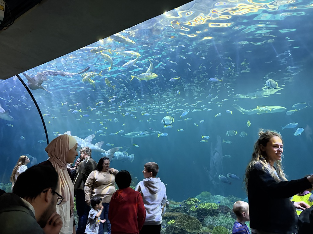 Zoology and American Wilderness Science classes recently took a trip to the Shedd Aquarium in Chicago!
