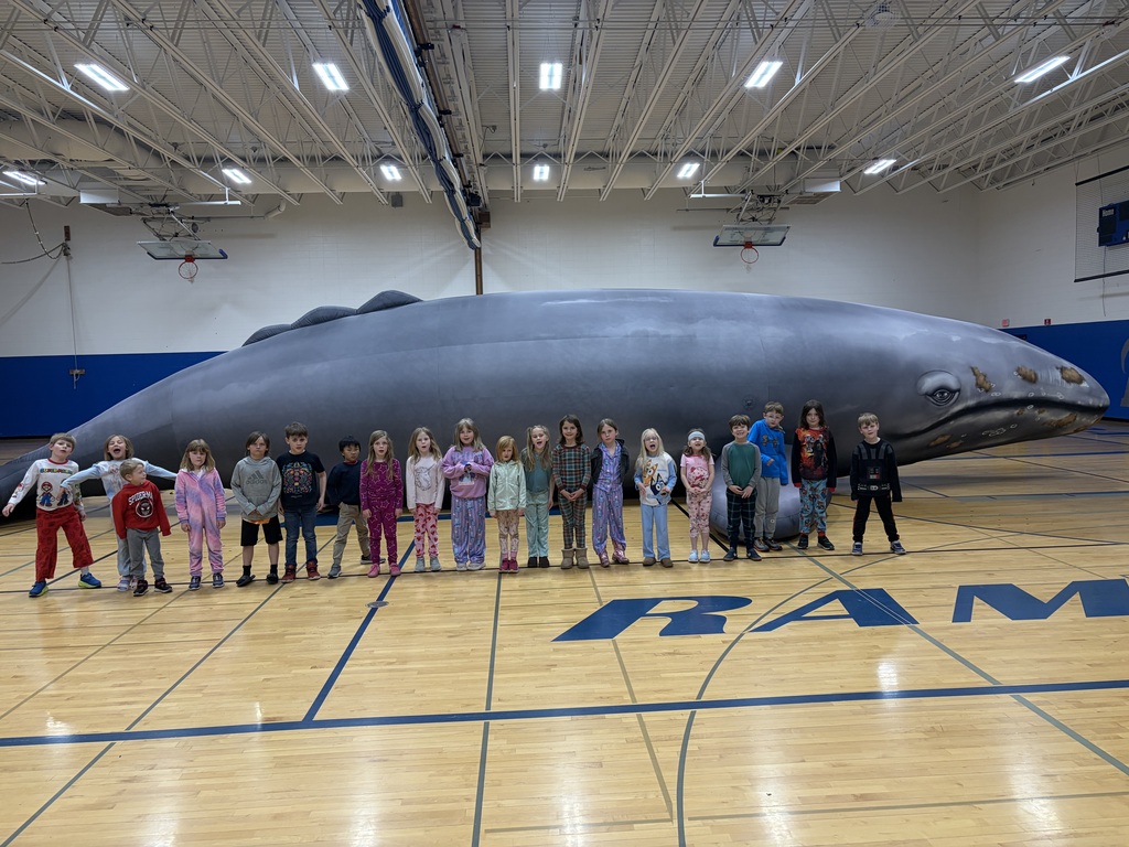 Our students spent time exploring Gray Whales and fossils