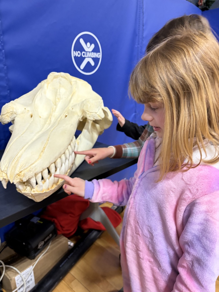 Our students spent time exploring Gray Whales and fossils