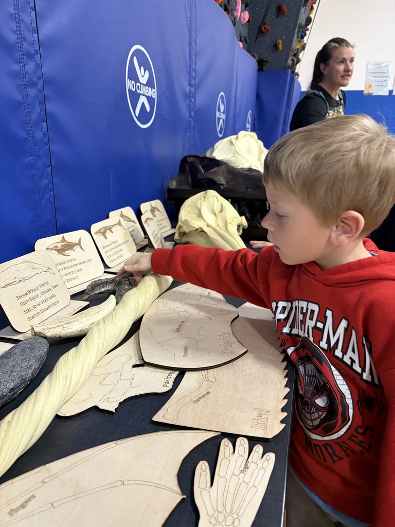 Our students spent time exploring Gray Whales and fossils