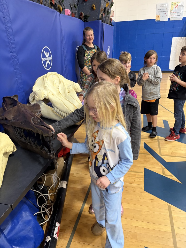 Our students spent time exploring Gray Whales and fossils