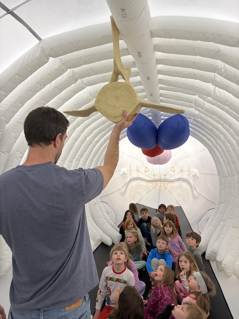 Our students spent time exploring Gray Whales and fossils