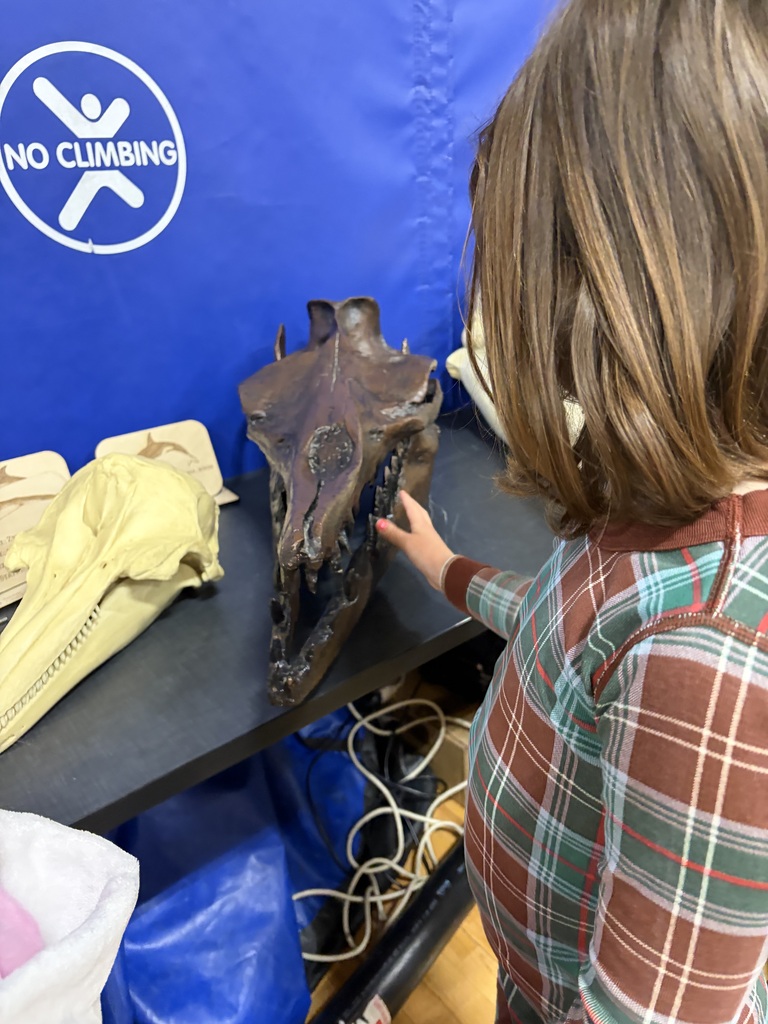 Our students spent time exploring Gray Whales and fossils