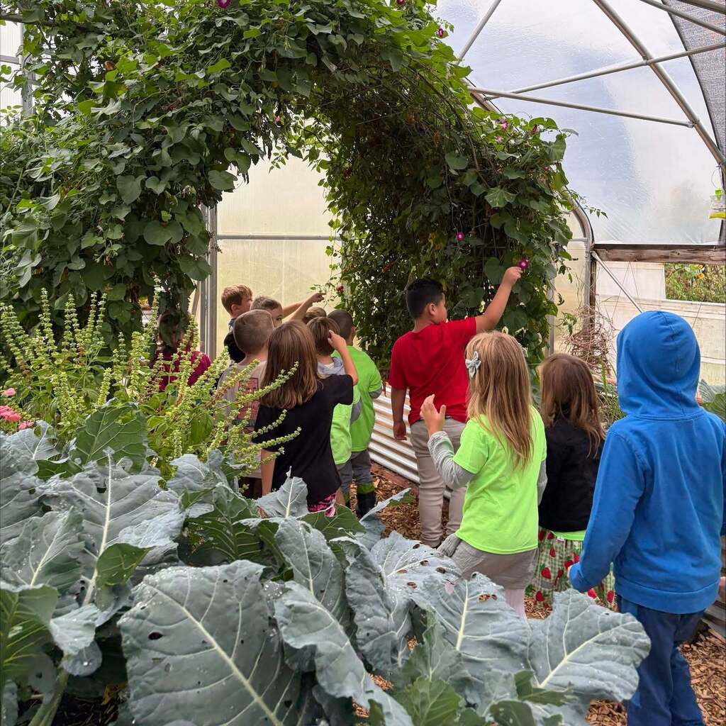 Elementary Students Field Trip To Nourish Farms 