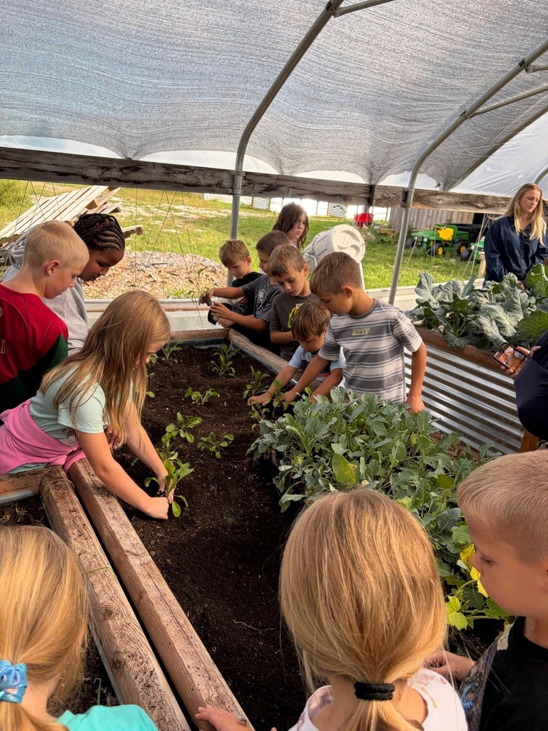 Elementary Students Field Trip To Nourish Farms 