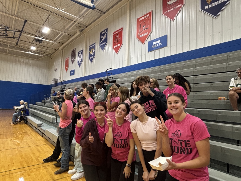 Pink Heals Volleyball Fundraiser