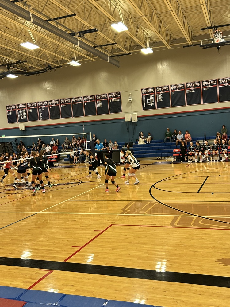 vb