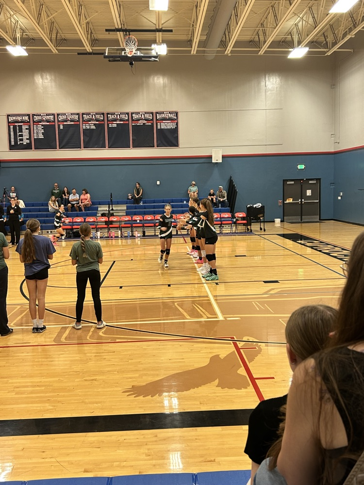 vb