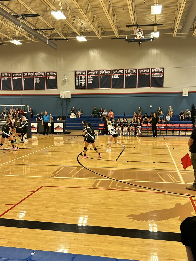 vb