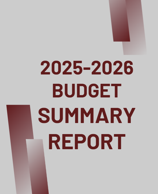 Budget Summary Report
