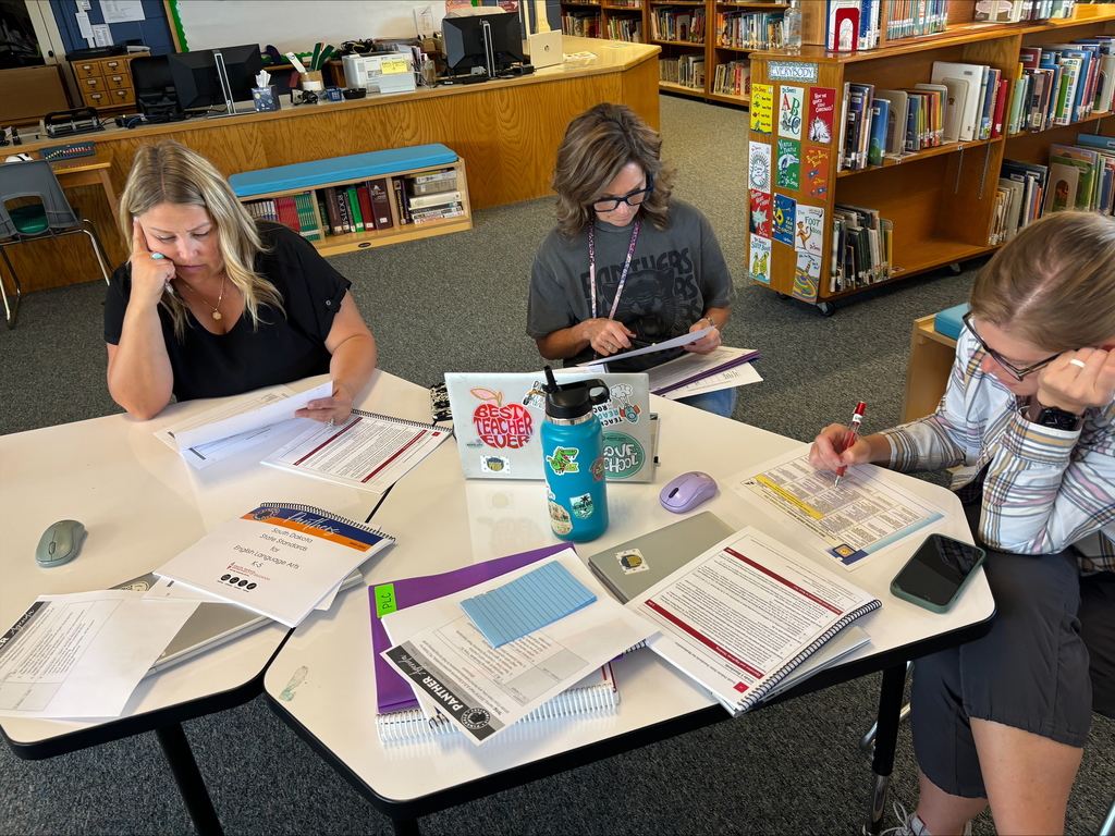 teacher teams working