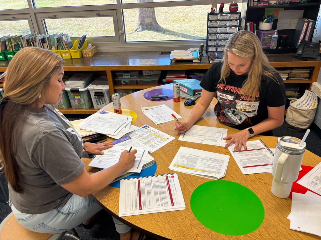 teacher teams working