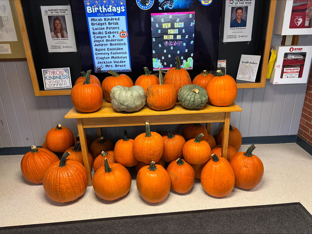 pumpkins on display