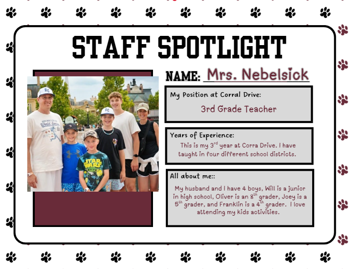 nebelsick spotlight