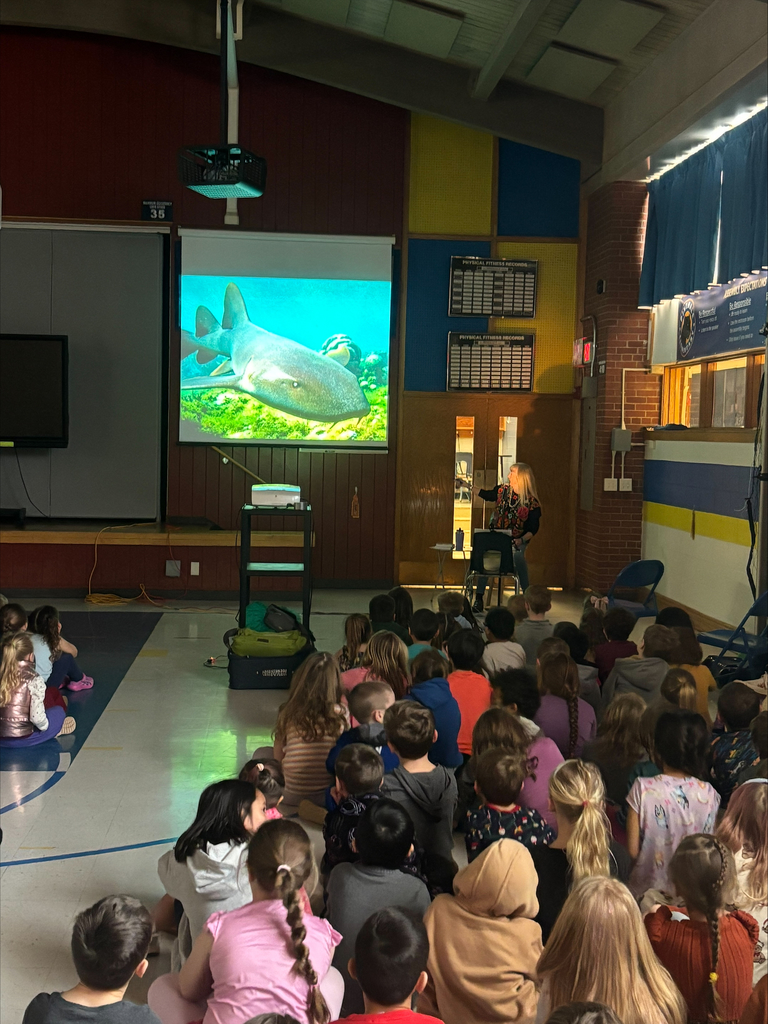 assembly - students sitting