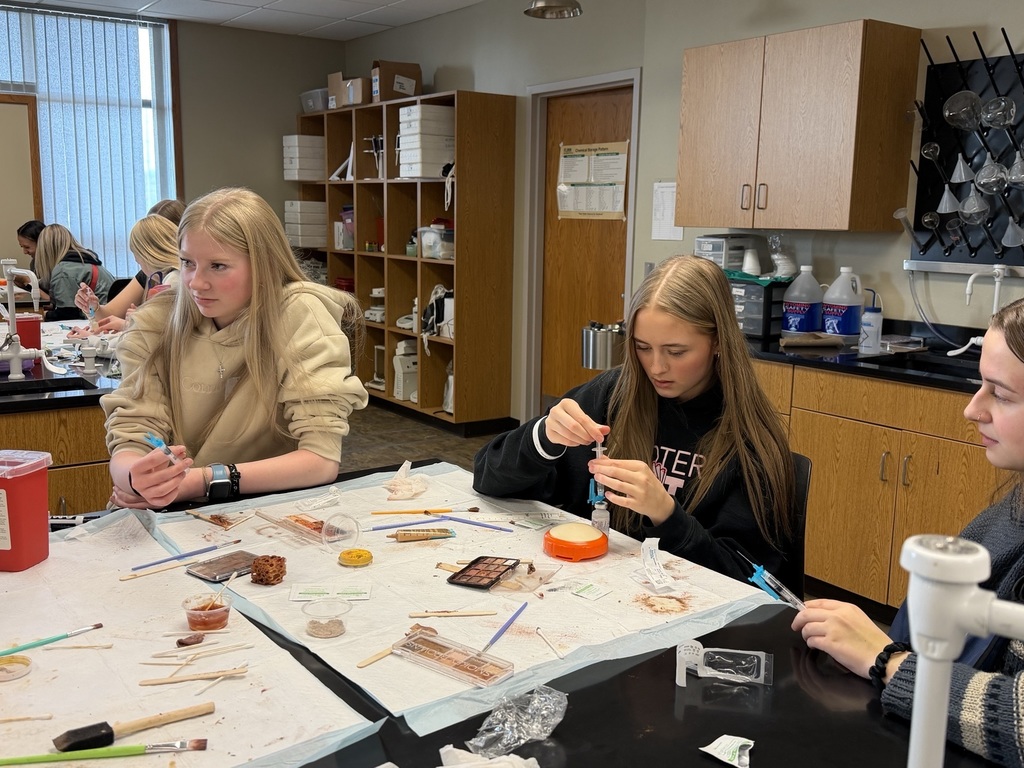 students participating in a lab