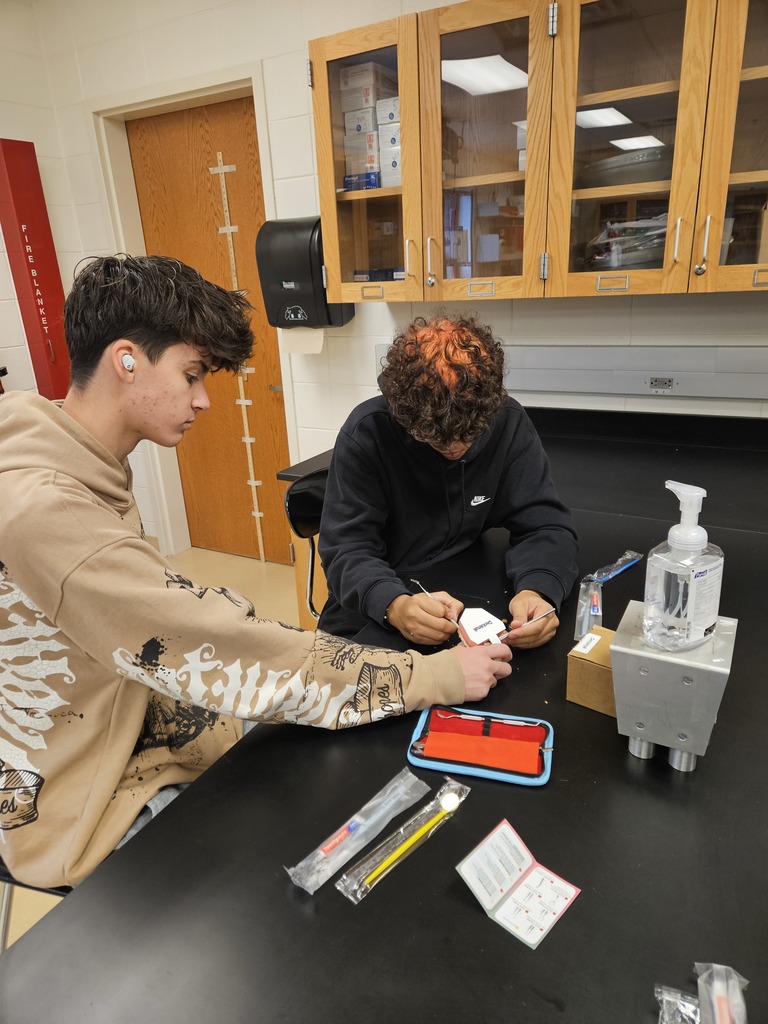 students participating in a lab