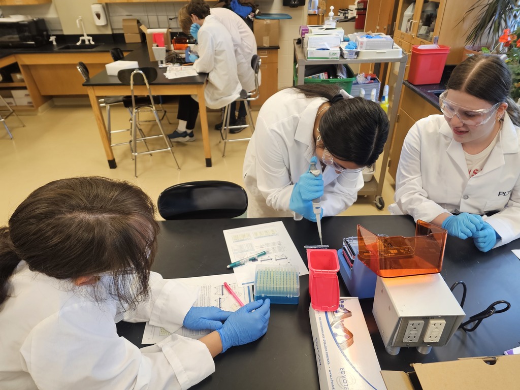 students participating in a lab