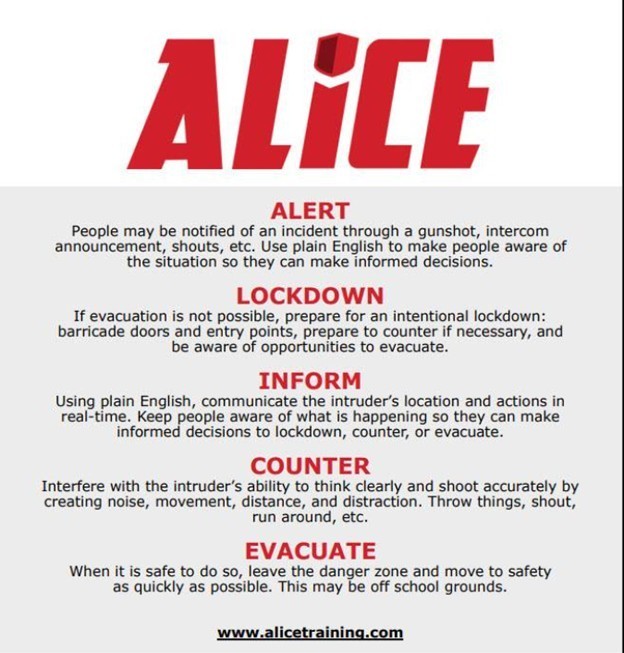 ALICE Summary