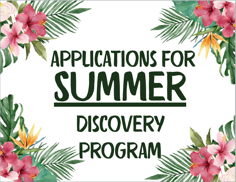 SUMMER DISCOVERY