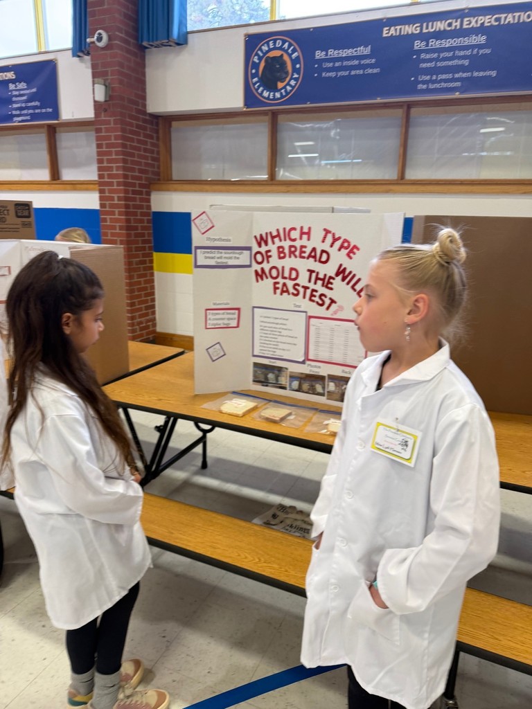 2nd Grade Science Fair