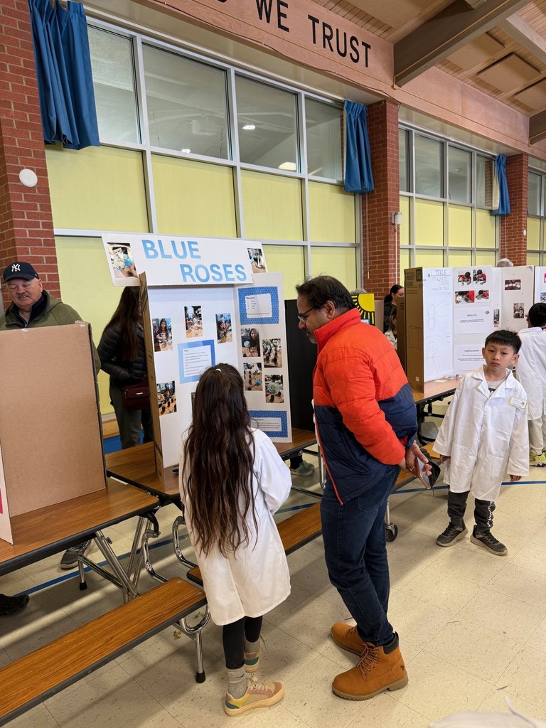 2nd Grade Science Fair