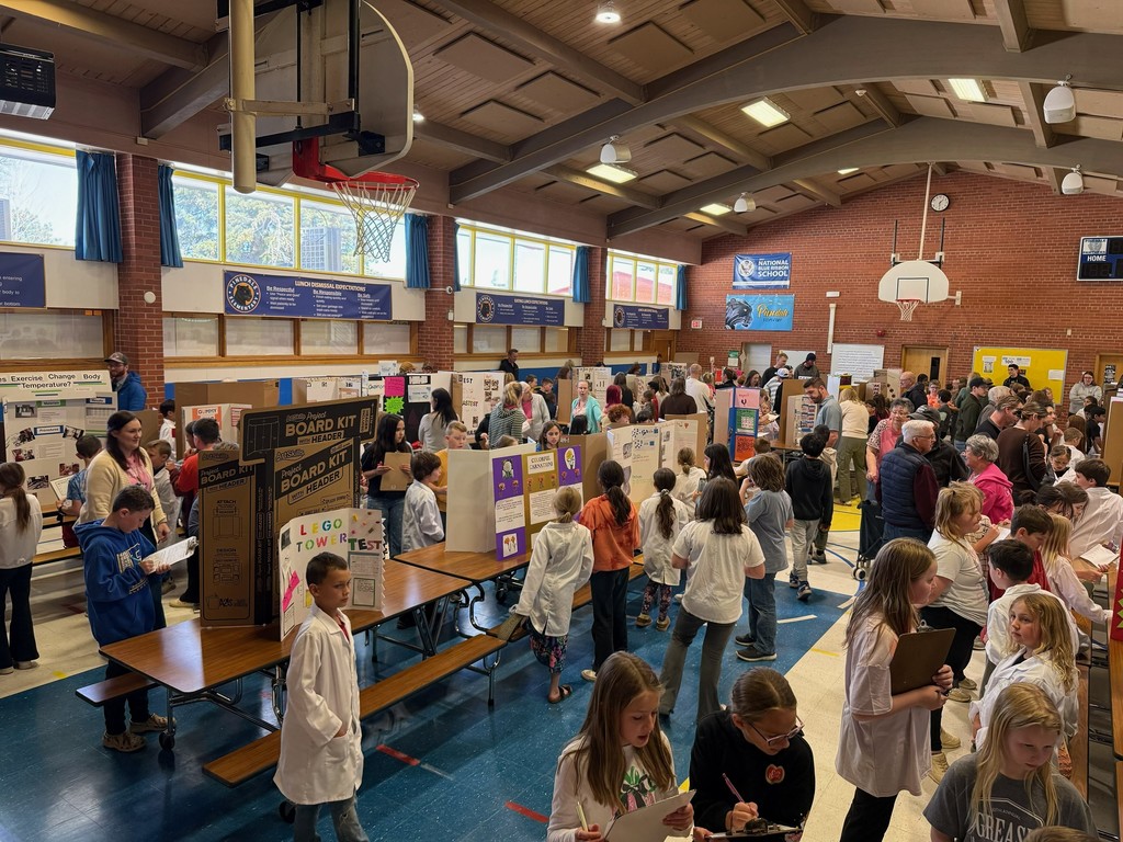 2nd Grade Science Fair