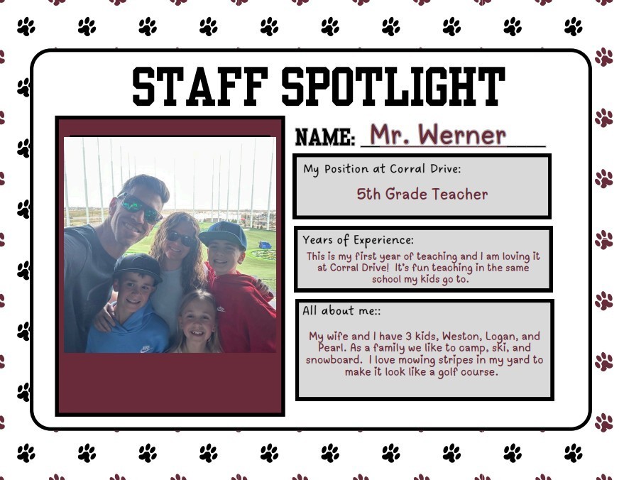 Werner spotlight