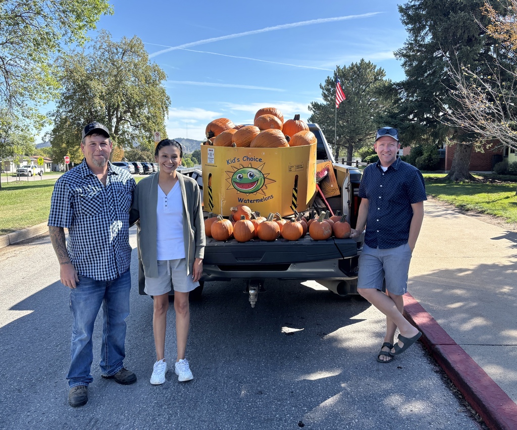 pumpkins in truck