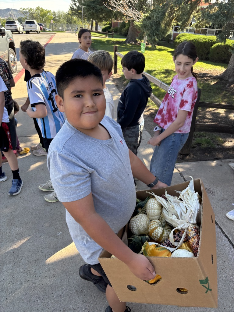 student with boxes of pumpkins